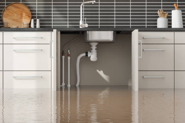 Best Ceiling water damage repair  in Lock Haven, PA