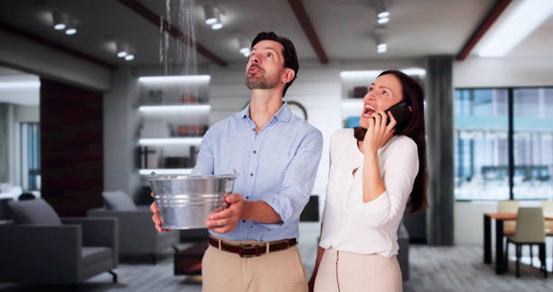 Best Basement water damage restoration  in Lock Haven, PA