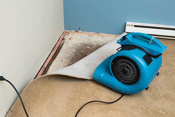 Best 24-hour water damage restoration  in Lock Haven, PA